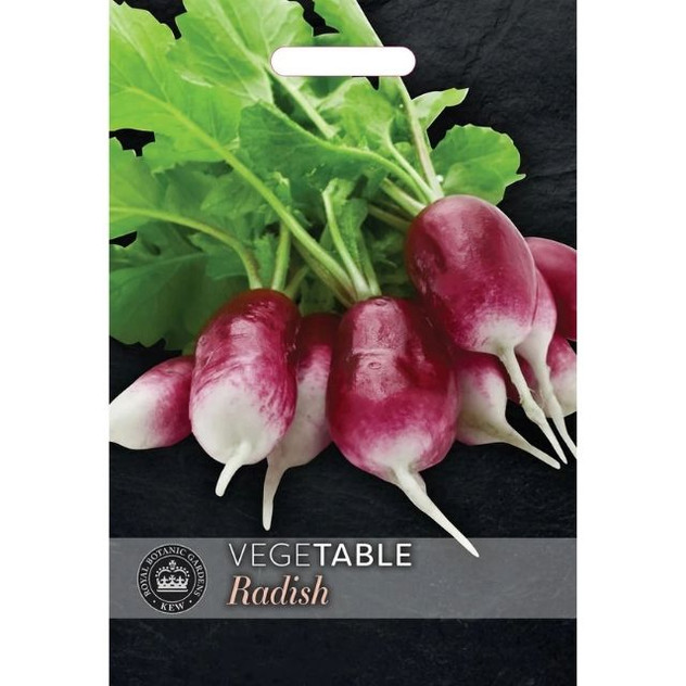 T&M KEW Radish Diana