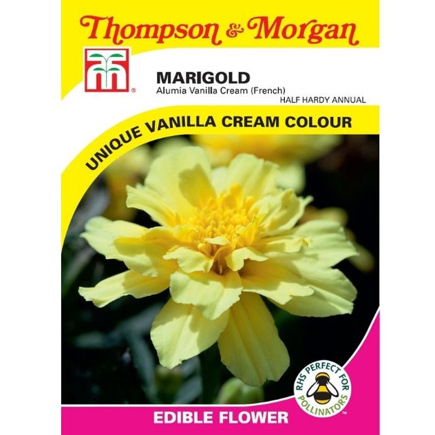 T&M Marigold Alumia Vanilla Cream (French)