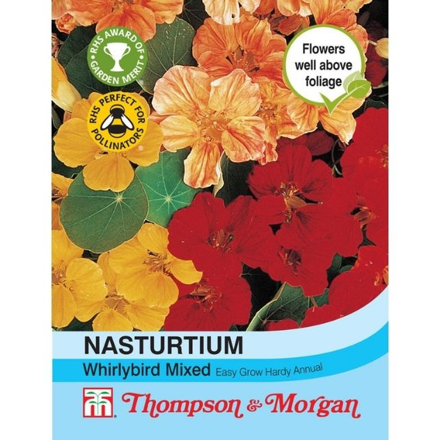 T&M Nasturtium Whirlybird Mixed