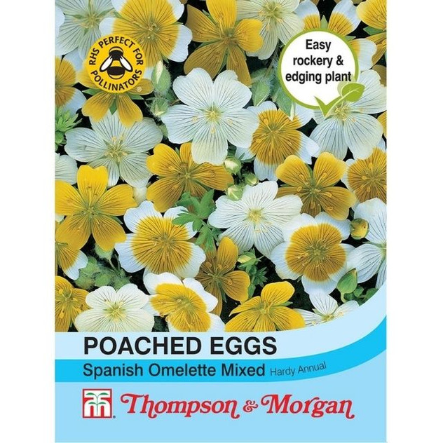 T&M Poached Eggs Spanish Omelette Mixed