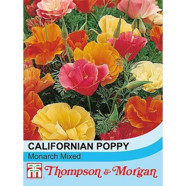 T&M Californian Poppy Mixed