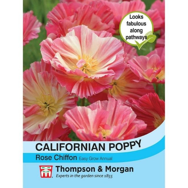 T&M Californian Poppy Rose Chiffon