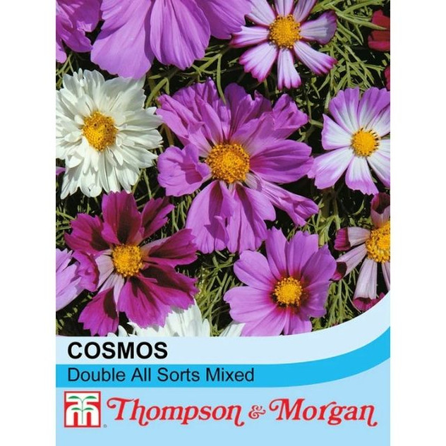 T&M Cosmos All Sorts Mixed