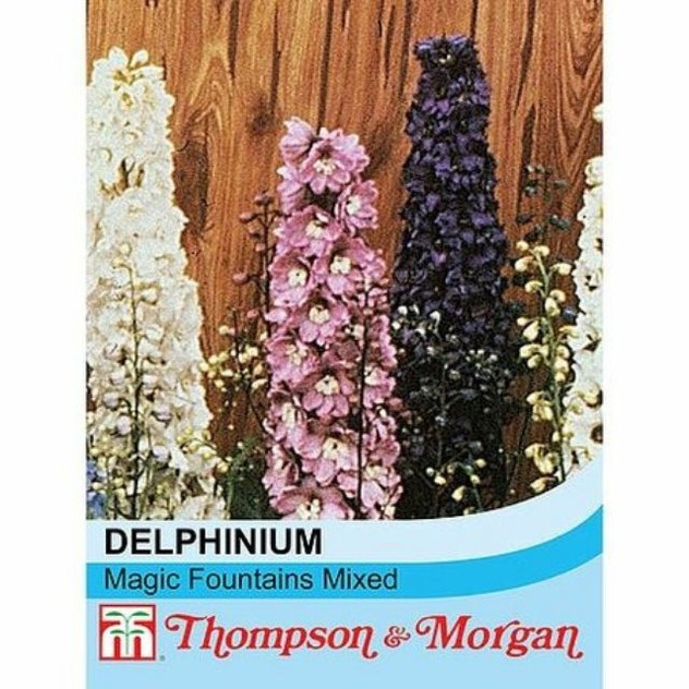 T&M Delphinium Magic Fountains