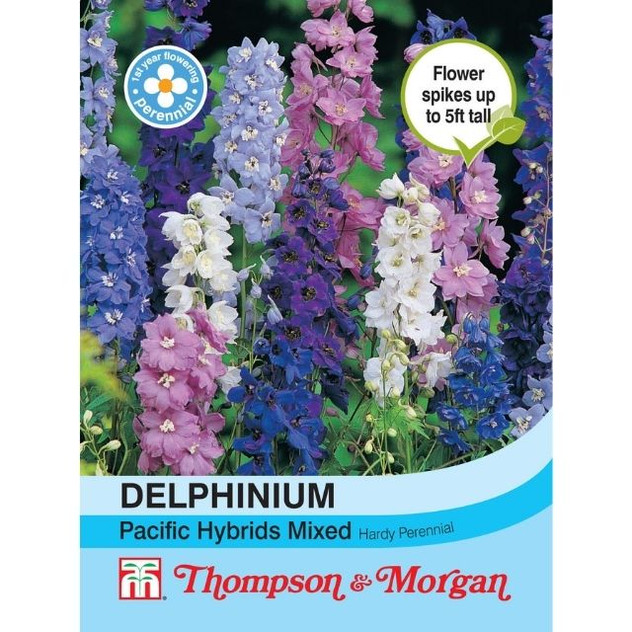 T&M Delphinium Pacific Hybrids Mixed
