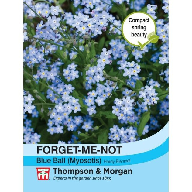 T&M Forget-me-not Blue Ball (Myosotis)