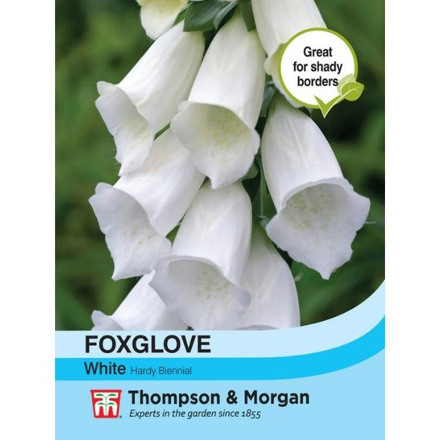 T&M Foxglove White
