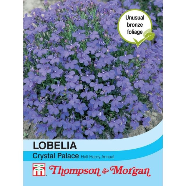 T&M Lobelia Crystal Palace