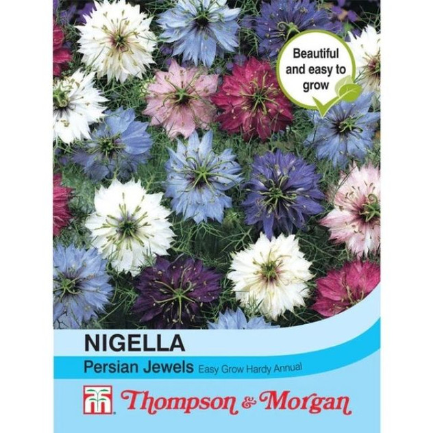 T&M Nigella Persian Jewels Mixed