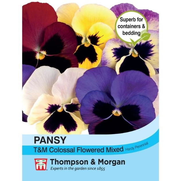 T&M Pansy T&M Colossal Flowered Mixed