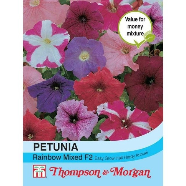 T&M Petunia Rainbow Mixed F2 Hybrid