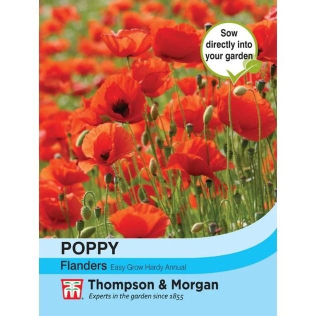 T&M Poppy Flanders
