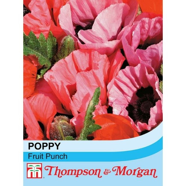 T&M Poppy Fruit Punch