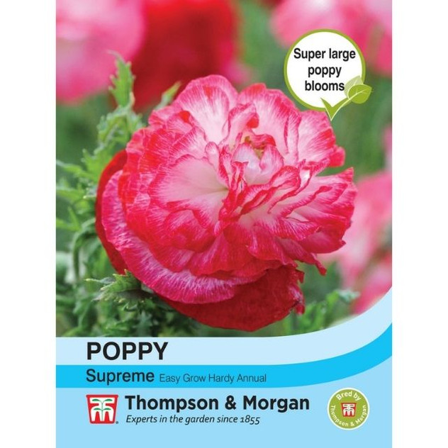 T&M Poppy Supreme