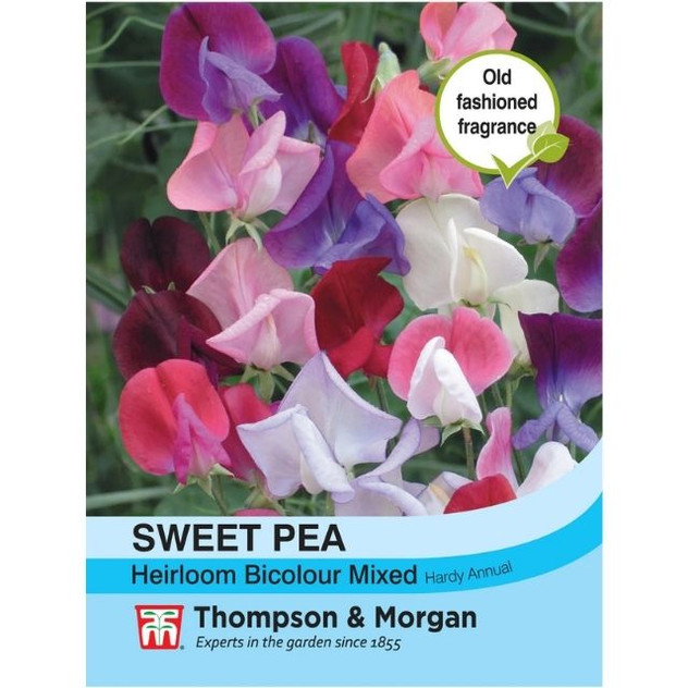 T&M Sweet Pea Heirloom Bicolour Mix