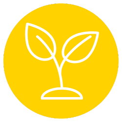 Garden demos icon