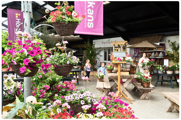 Garden at Horkans