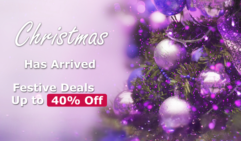 Christmas sale 