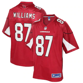 Maxx Williams Arizona Cardinals Nfl Pro Line Team Player Cardinal 3D Jersey