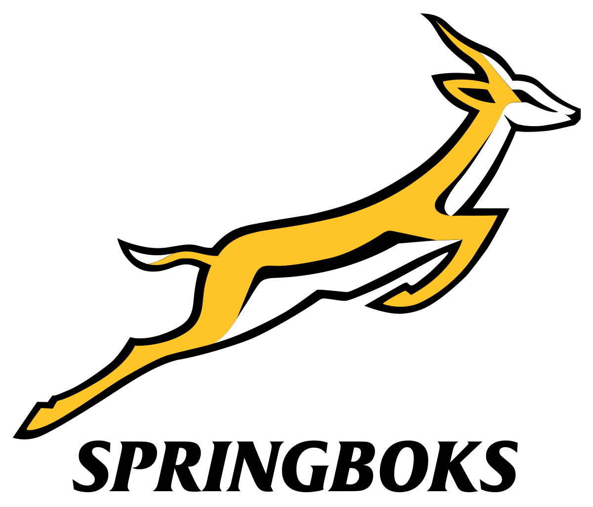 South Africa Springboks