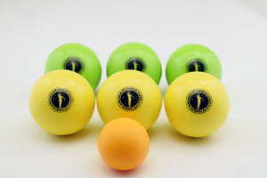 PACK Pétanque Ciblée + 12 Boules souples