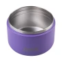 Oasis Insulated Food Jar with Quick Release Lid - 300ml - Mermaid Purple
