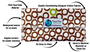 Planet Wise Snack Bag