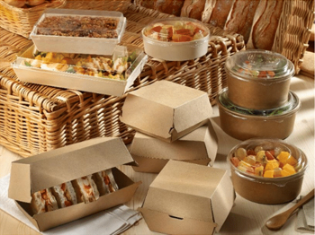 Disposable Take-Out Container Sizes & Materials Guide