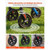 2-in-1 Rollator Walker & Transport Chair for Seniors, Foldable Rolling Walker Wheelchair, Lightweig