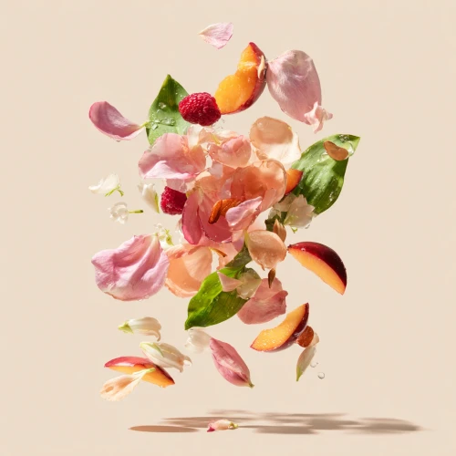 Petal Muse Bn