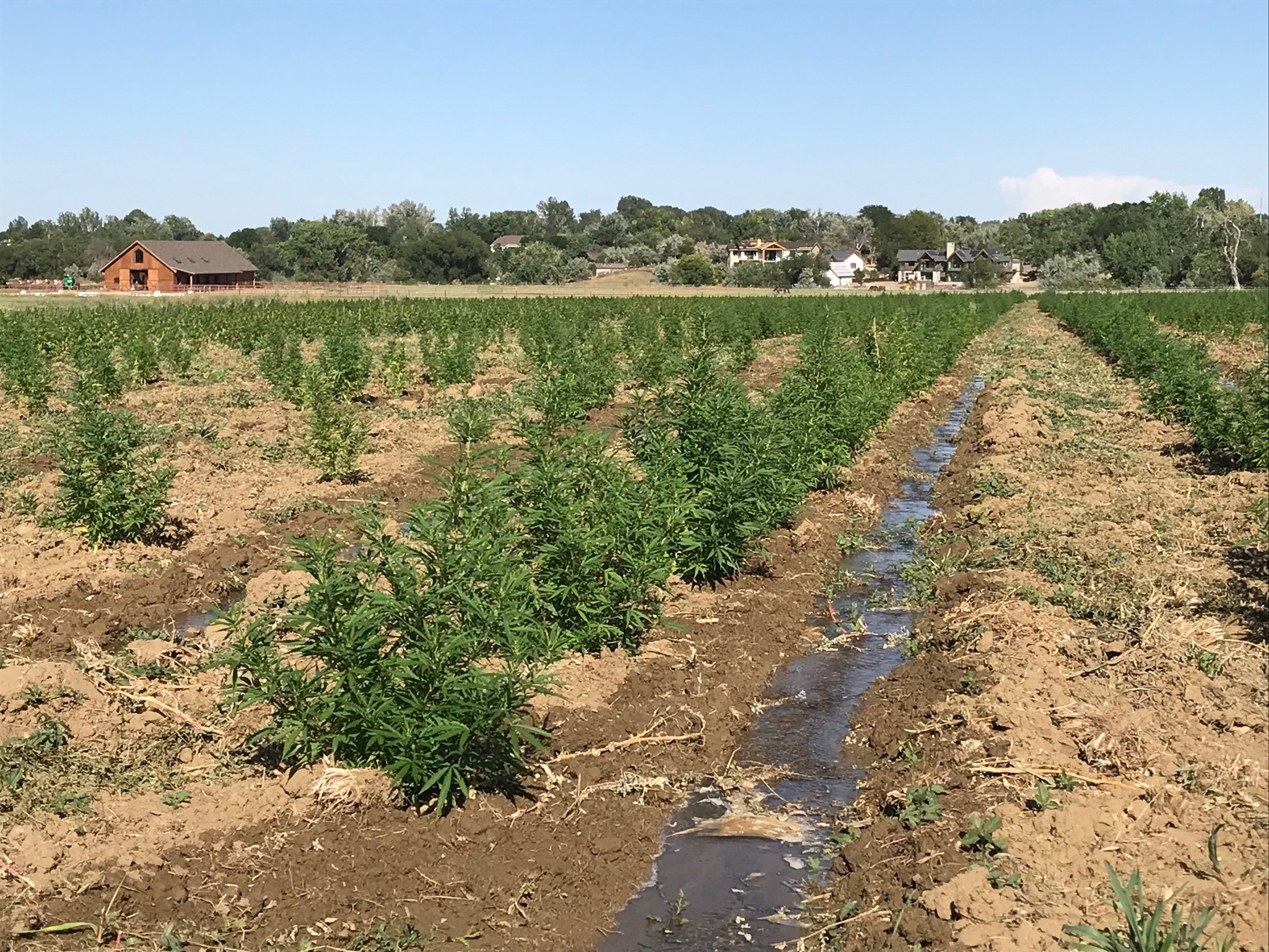 Hempward farm mission
