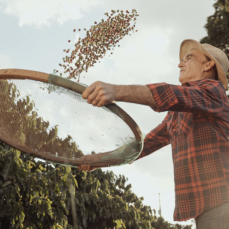 Man using tool to toss coffee beans