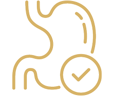 Gut Health