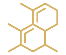 Cellular Health