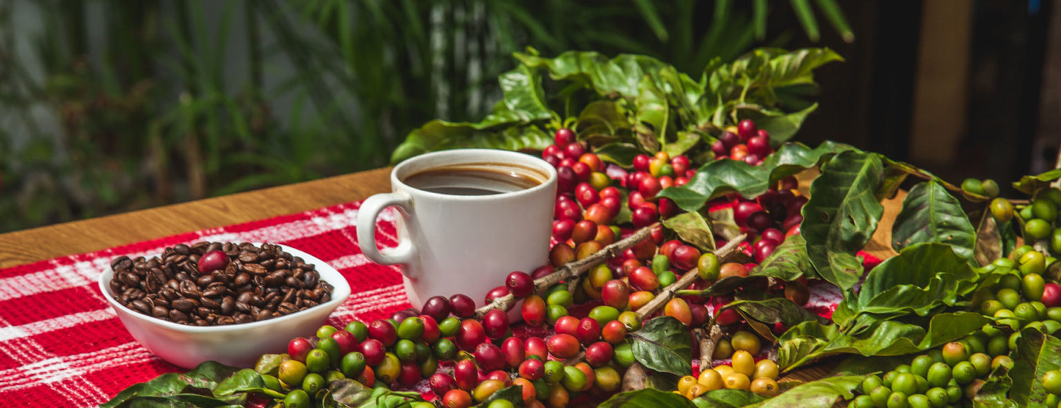 Table with red cloth, coffee cup and coffee beans.
