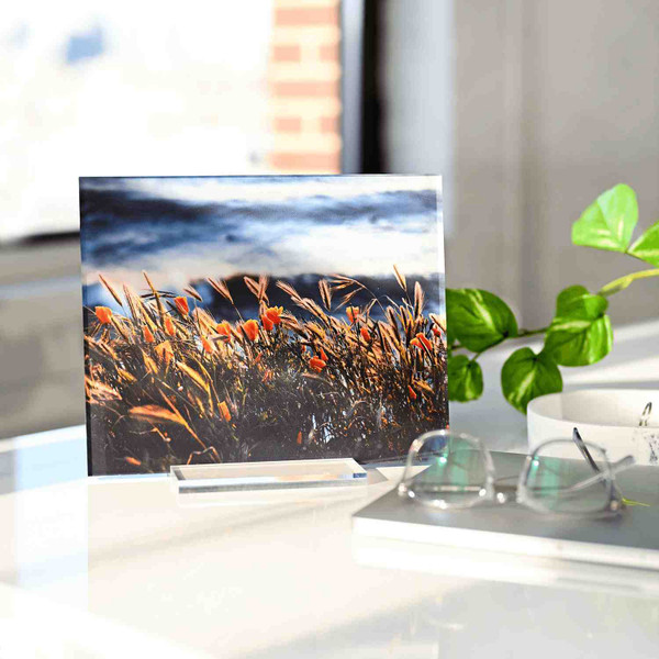 Show off your nature photography with a true-to-life image as the center of a 7 x 5 inch acrylic desk print