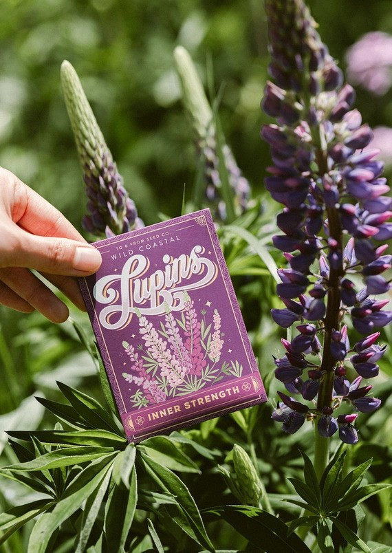 Lupin Seed Packet - Kuriosities
