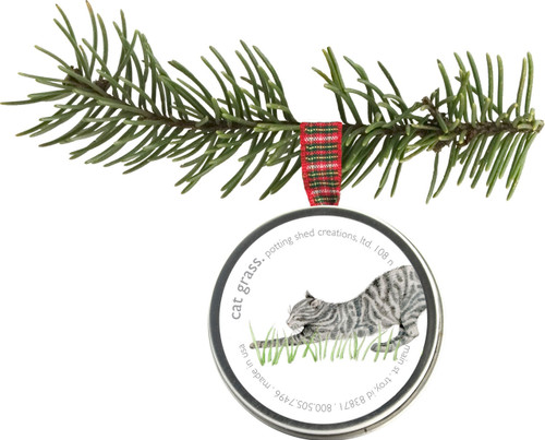 Cat Grass (Wheat Grass, Triticum aestivum) Cats love grass. They nap and play on it, and like to eat it too. Wheat grass is good for cats, providing essential vitamins and minerals. It is also rich in Chlorophyll which acts as a natural detoxifier, mild antibiotic and deodorizer. An easy to grow organic treat for pet health and vitality. Includes: organic seed, reusable recycled US steel tin, ribbon hanger, directions. Tin 2" diam.