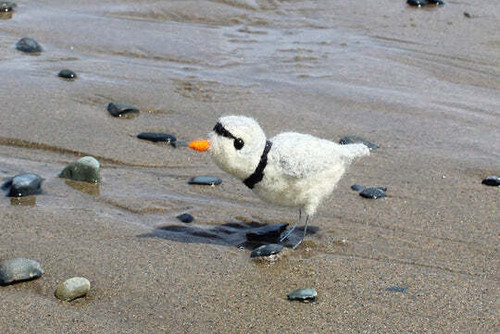Piping Plover Needle Felting Kit Piping Plover Needle Felting Kit