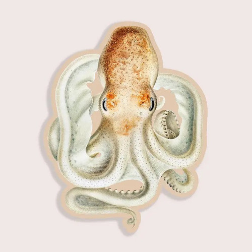Intense Octopus Sticker
