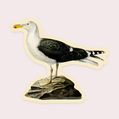 Dismayed Seagull Sticker