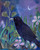 Crow At Nightfall Card