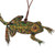 Frog Birch Plywood Ornament