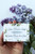 Lilac Flower Soap Lilac Flower Soap