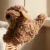 Felt Cassie the Cockapoo