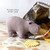 diy maker kit hippopotamus