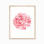 Pink Peony Art Print - 8x10 Pink Peony Art Print - 8x10