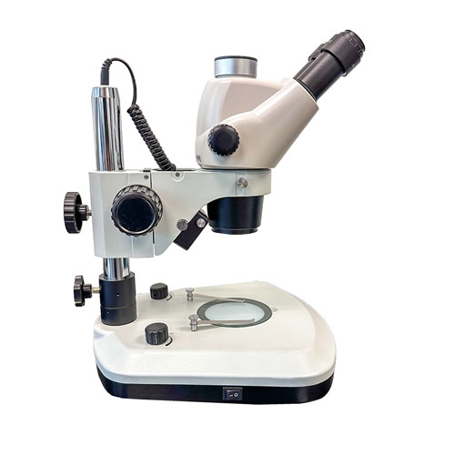 Motic SMZ-171 Stereo Zoom Microscope on LED Stand