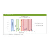 X-Cite XYLIS II Model XT730L UV Wavelength 385nm