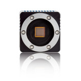 pco.panda 4.2 Microscope Camera bottom pco.panda 4.2 Microscope Camera bottom